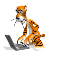 Type It Tiger Outsourced Transcription and Typing Services