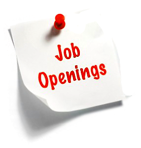 Jobs in Transcription, Secretarial and Typing Services at Type It Tiger